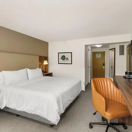 Holiday Inn San Jose La Sabana By Ihg-2